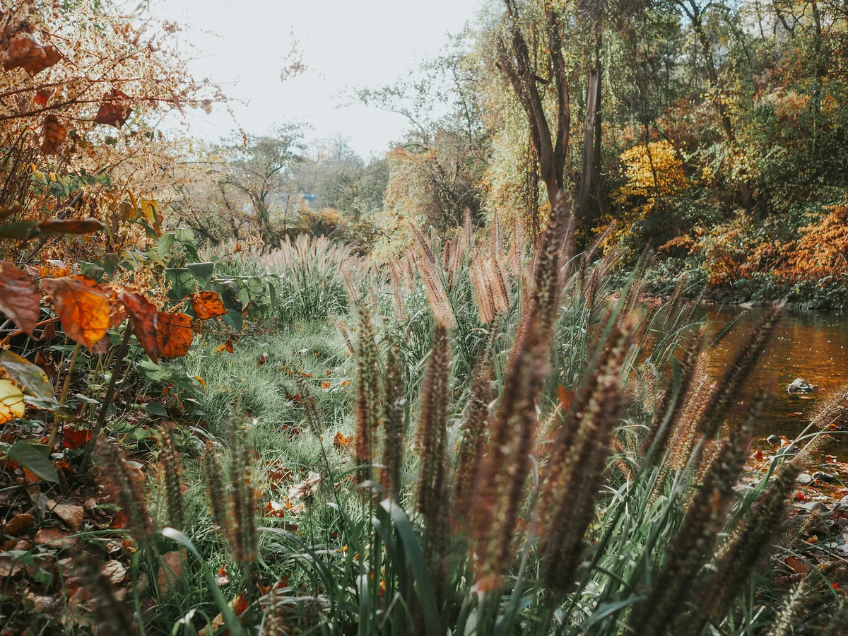 Dezelfde tuin in oktober, met blad op het terras