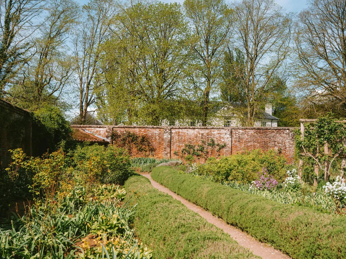 Dezelfde tuin in april, net uitgelopen