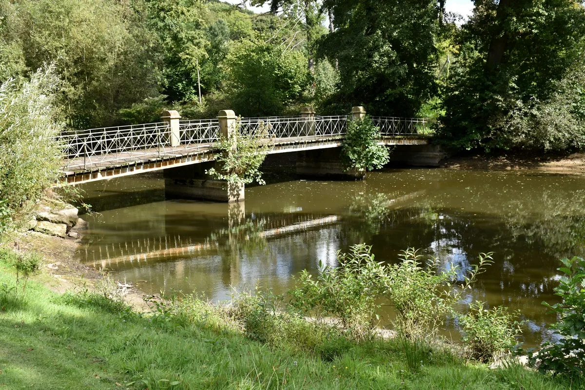 Achtertuin aan de Berkenlaan, Apeldoorn, voor het werk