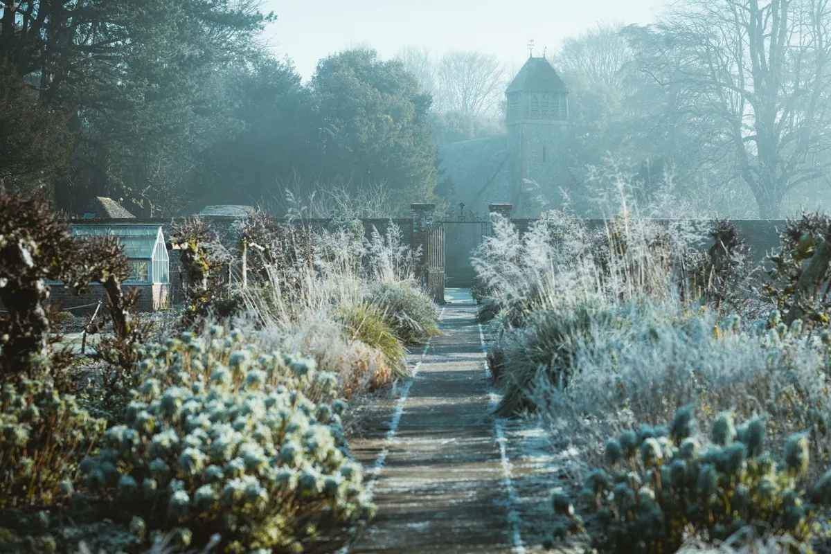 Dezelfde tuin in januari, met rijp op de grassen